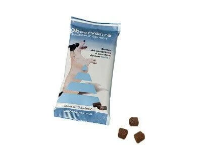 Observence Chien 15 Boulettes 3 Observence Chien 15 Boulettes