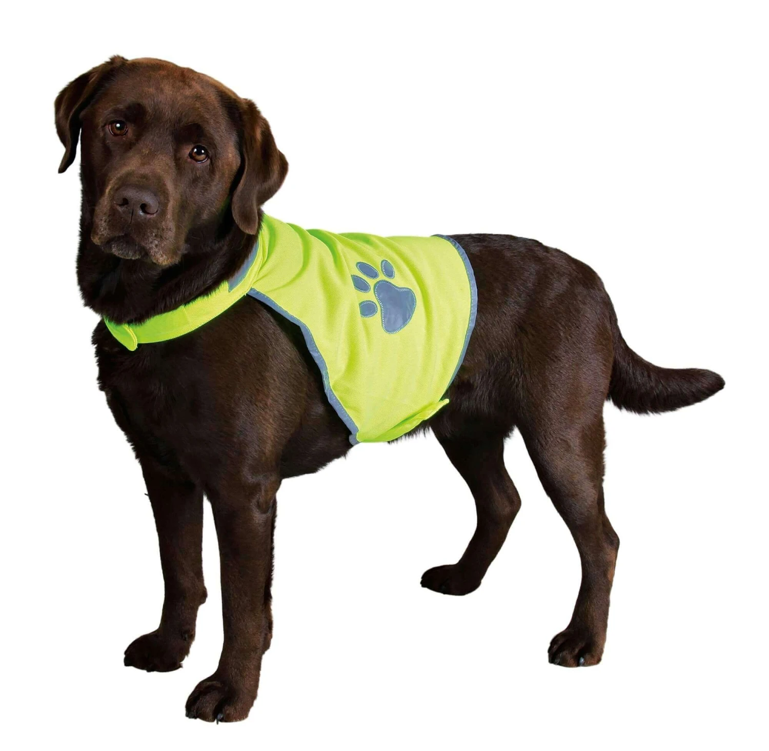 Trixie Gilet De Sécurité Safety Dog Chien M 4 Trixie Gilet De Sécurité Safety Dog Chien M – Image 2