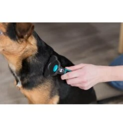 Trixie Brosse Carde Chien 11 X 15 Cm -Animalerie 260940 pho pro use 24171 1 2