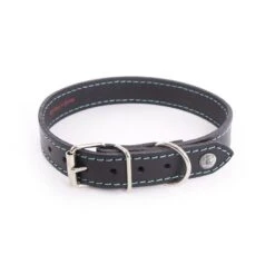 Martin Sellier Collier Cuir Flash Turquoise T56