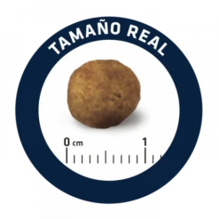 Advance Veterinary Diets Chien Gastroenteric 12 Kg 8 Advance Veterinary Diets Chien Gastroenteric 12 Kg -Animalerie advance veterinary diet chien gastroenteric low fat 12 kg