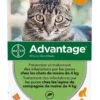 Advantage 40 Chat Et Lapin De 1 à 4 Kg Pipettes X4 -Animalerie advantage 40 chat et lapin de 1 4 kg 4 pipettes