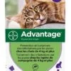 Advantage 80 Chat Et Lapin De + De 4 Kg Pipettes X6 -Animalerie advantage 80 chat et lapin de plus de 4 kg 6 pipettes