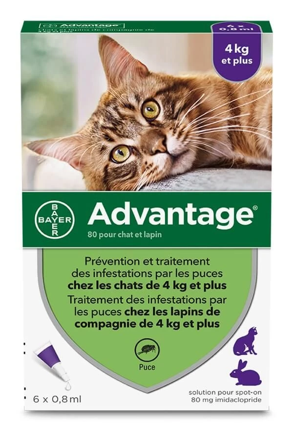 Advantage 80 Chat Et Lapin De + De 4 Kg Pipettes X6