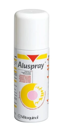 Aluspray 210 Ml