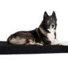 Back On Track Matelas Pour Chien 50 × 60 Cm