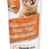 Beaphar Pâte Multivitaminé à La Taurine Et Omégas Pour Chat 100 Grs -Animalerie beaphar pa te multivitamine a la taurine et ome gas pour chat 100 grs