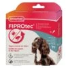 Beaphar Fiprotec Spot-on Chien 10 - 20 Kg X4 1 Beaphar Fiprotec Spot-on Chien 10 - 20 Kg X4 -Animalerie beaphar fiprotec spot on chien 10 20 kg 4 pipettes