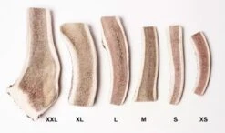 Evident Bois De Cerf Tranché L 5 Evident Bois De Cerf Tranché L -Animalerie bois de cerf tranch evident 2 2 1