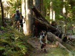 Bottines Ruffwear Grip Trex Rouge M 70 Mm Destockage -Animalerie bottines ruffwear grip trex rouge 4 1 2 1