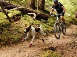 Bottines Ruffwear Grip Trex Rouge M 70 Mm Destockage -Animalerie bottines ruffwear grip trex rouge 5 1 2 1