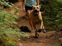 Bottines Ruffwear Grip Trex Rouge M 70 Mm Destockage -Animalerie bottines ruffwear grip trex rouge 6 1 2 1