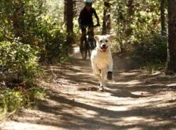 Bottines Ruffwear Grip Trex Rouge M 70 Mm Destockage -Animalerie bottines ruffwear grip trex rouge 7 1 2 1