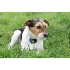 NumAxes Collier Anti Aboiement Canicalm Citronnelle Noir -Animalerie canicalm spray 1