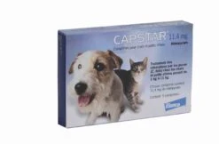 Capstar 11.4 Mg Pour Chat Et Petit Chien -Animalerie capstar 11.4 mg pour chat et petit chien