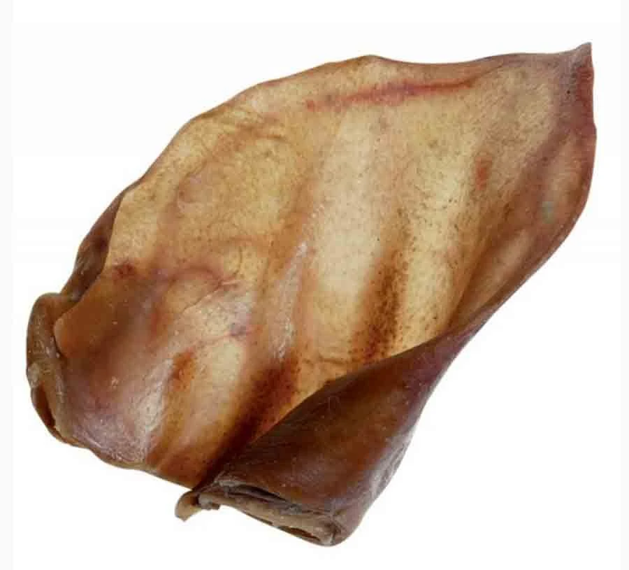 Zolux Oreille De Porc Séchée X 10 5 Zolux Oreille De Porc Séchée X 10 – Image 3