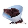 Buster Carcan Classique Pour Chiens - 30 Cm -Animalerie carcan classique pour chiens et chats 7 5 cm 1