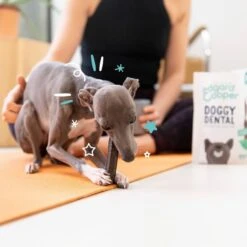 Edgard & Cooper Mach'sticks Fraise Et Menthe Petit Chien 105 G -Animalerie chien dental adulte naturel menthe fraise 105g 3