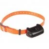 Collier Seul Canicom 5 Avec Sangle Orange -Animalerie collierorange