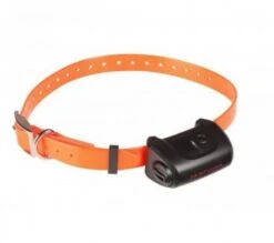 Collier Seul Canicom 5 Avec Sangle Orange