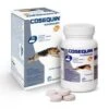 Cosequin HA 40 Cp -Animalerie cosequin chien ha 40 cps arthrose