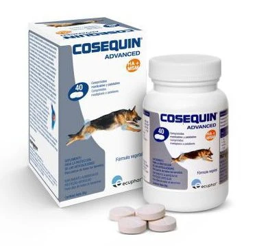 Cosequin HA 40 Cp 3 Cosequin HA 40 Cp