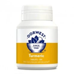 Dorwest Turmeric 100 Cps