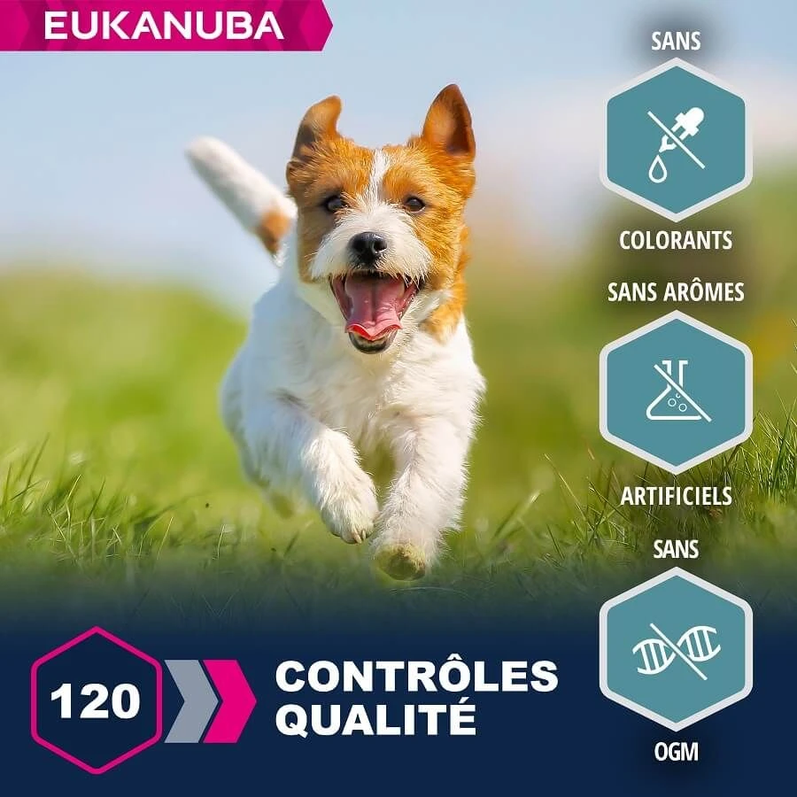 Eukanuba Chien Adulte Petite Et Moyenne Race Saumon & Orge 12 Kg – Image 4