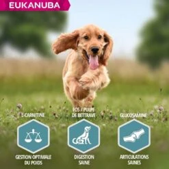 Eukanuba Chien Adulte Petite Et Moyenne Race Saumon & Orge 12 Kg -Animalerie eukanuba chien adult petite et moyenne race saumon orge 5 2