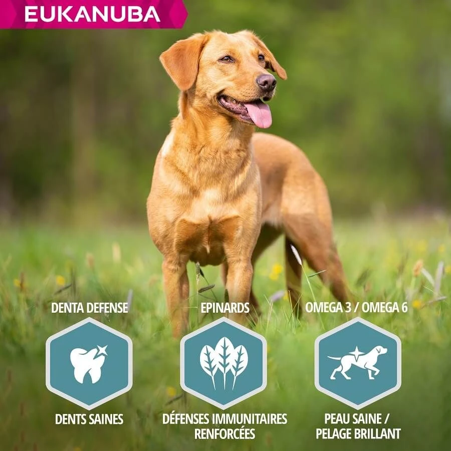 Eukanuba Chien Adulte Petite Et Moyenne Race Saumon & Orge 12 Kg – Image 6