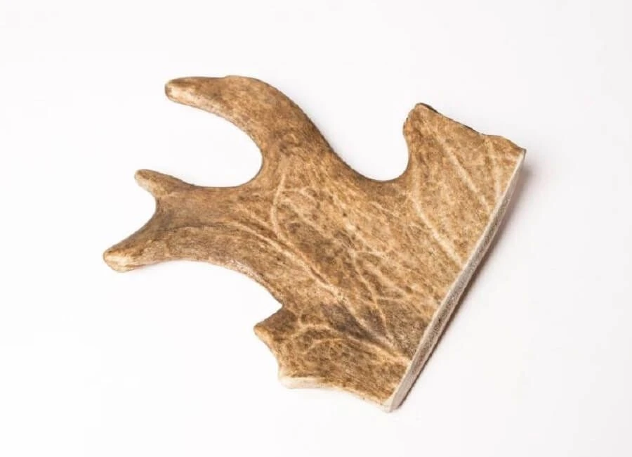 Evident Bois De Daim L 3 Evident Bois De Daim L