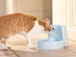 Fontaine Drinkwell 1.5 L -Animalerie fontaine drinkwell 1.5 l3