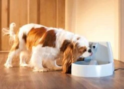 Fontaine Drinkwell 1.5 L -Animalerie fontaine drinkwell 1.5 l4