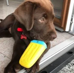 Croci Jouet Fresh Lolly Chien - Destockage -Animalerie fresh lolly 3