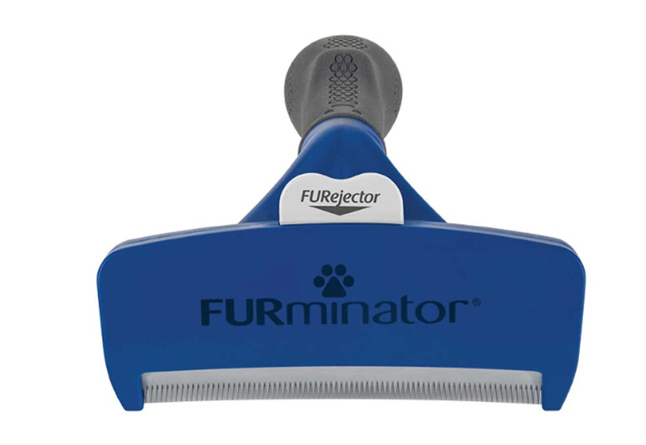 Furminator Brosse Pour Chien Poils Courts L 5 Furminator Brosse Pour Chien Poils Courts L – Image 3