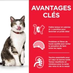 Hill's Science Plan Hill's Science Plan Feline Mature Adult 7+ Light Poulet 7 Kg -Animalerie hill s science plan feline mature adult 7 light poulet 7 kg4