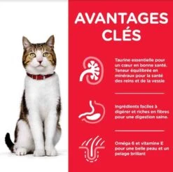 Hill's Science Plan Hill's Science Plan Feline Mature Adult 7+ Poulet 3 Kg -Animalerie hill s science plan feline mature adult 7 poulet 3 kg2