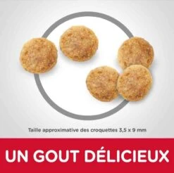 Hill's Science Plan Hill's Science Plan Feline Senior 11+ Poulet 3 Kg -Animalerie hill s science plan feline senior 11 poulet 3 kg3