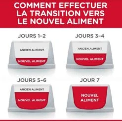 Hill's Science Plan Hill's Science Plan Feline Senior 11+ Poulet 3 Kg -Animalerie hill s science plan feline senior 11 poulet 3 kg4