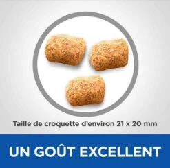 Hill's Science Plan VetEssentials Canine Mature Dental Health Medium & Large Poulet 10 Kg 10 Hill's Science Plan VetEssentials Canine Mature Dental Health Medium & Large Poulet 10 Kg -Animalerie hill s vetessentials canine mature dental health mediumlarge2 1