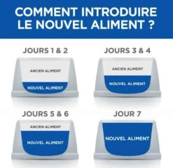 Hill's Science Plan VetEssentials Canine Mature Dental Health Medium & Large Poulet 10 Kg 12 Hill's Science Plan VetEssentials Canine Mature Dental Health Medium & Large Poulet 10 Kg -Animalerie hill s vetessentials canine mature dental health mediumlarge4 1