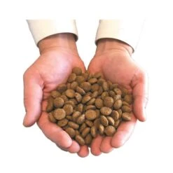 Felichef Terrine Bio Volaille Sans Céréales Pour Chat 16 X 100 G -Animalerie main avec croquettes 3 17