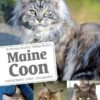 Livre - Maine Coon -Animalerie maine coon