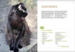 Livre - Maine Coon -Animalerie maine coon3