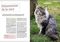 Livre - Maine Coon -Animalerie maine coon4