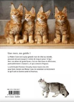 Livre - Maine Coon -Animalerie maine coon5