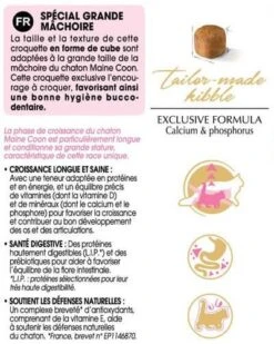 Royal Canin Maine Coon Kitten 4 Kg 12 Royal Canin Maine Coon Kitten 4 Kg -Animalerie mc kit information 1