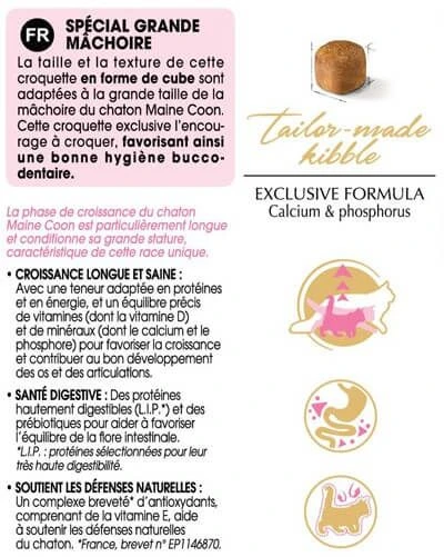 Royal Canin Maine Coon Kitten 4 Kg 7 Royal Canin Maine Coon Kitten 4 Kg – Image 5