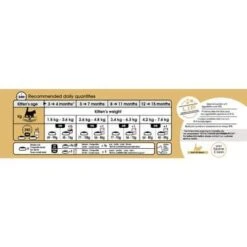 Royal Canin Maine Coon Kitten 4 Kg 13 Royal Canin Maine Coon Kitten 4 Kg -Animalerie mc kit ration 1