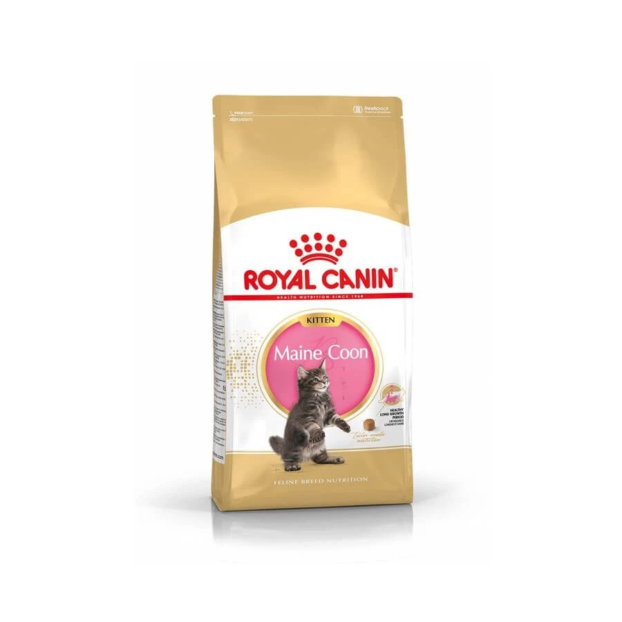 Royal Canin Maine Coon Kitten 4 Kg 3 Royal Canin Maine Coon Kitten 4 Kg